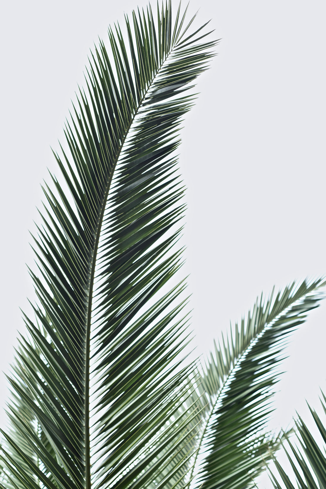 Healing the Version of Me That Learned to Expect the Worst